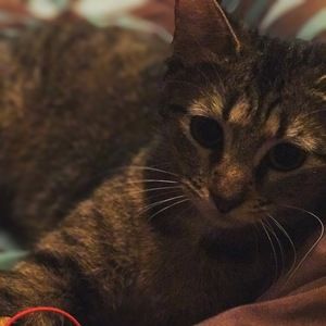 Meet your Posher, Natalie sanchz